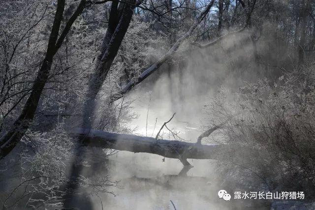 200家企业!定州高新区管委会召开生态环保培训会