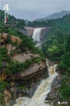 春雨直播app