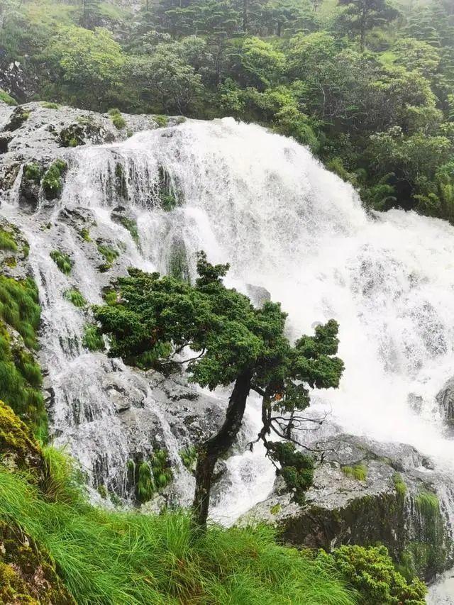 青海湖北岸：生态环境治理加快实施 物种数量稳中有增