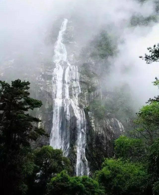 沪江开心词场