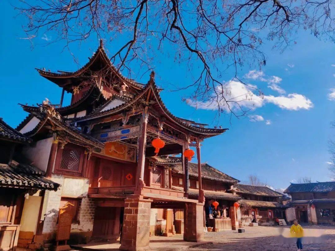救援小棕兔